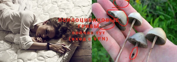 герыч Алзамай
