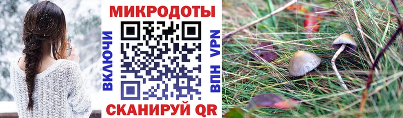магазин    Щёлкино  Псилоцибиновые грибы GOLDEN TEACHER 
